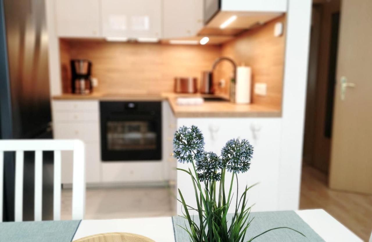 Apartment As1 - Excellent Λειψία Εξωτερικό φωτογραφία